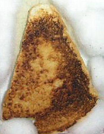 The Virgin Mary on a toast: yet another interpretation!