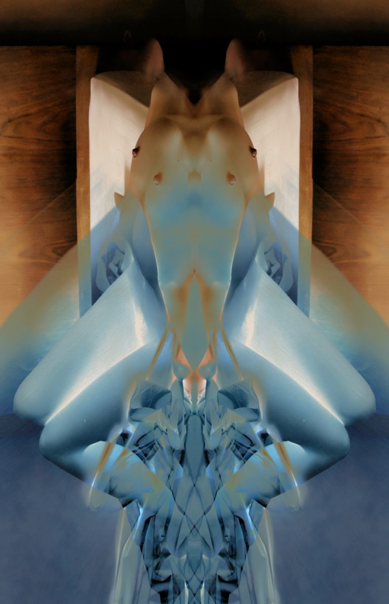 Montage Rorschach Créatures 08 Insecte chevalin ©AbsurdePhoton