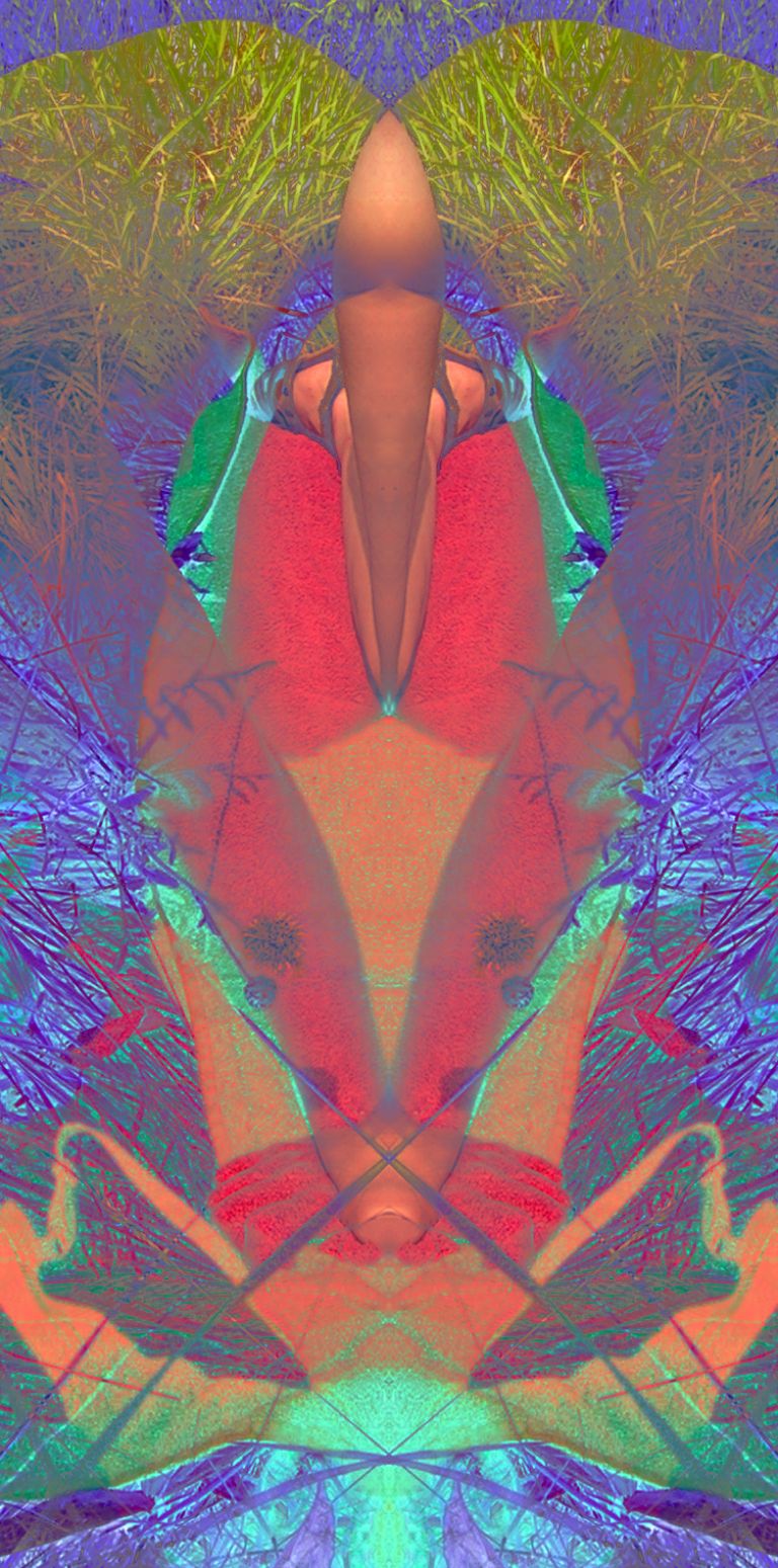 Montage Rorschach Créatures 11 Thot ©AbsurdePhoton