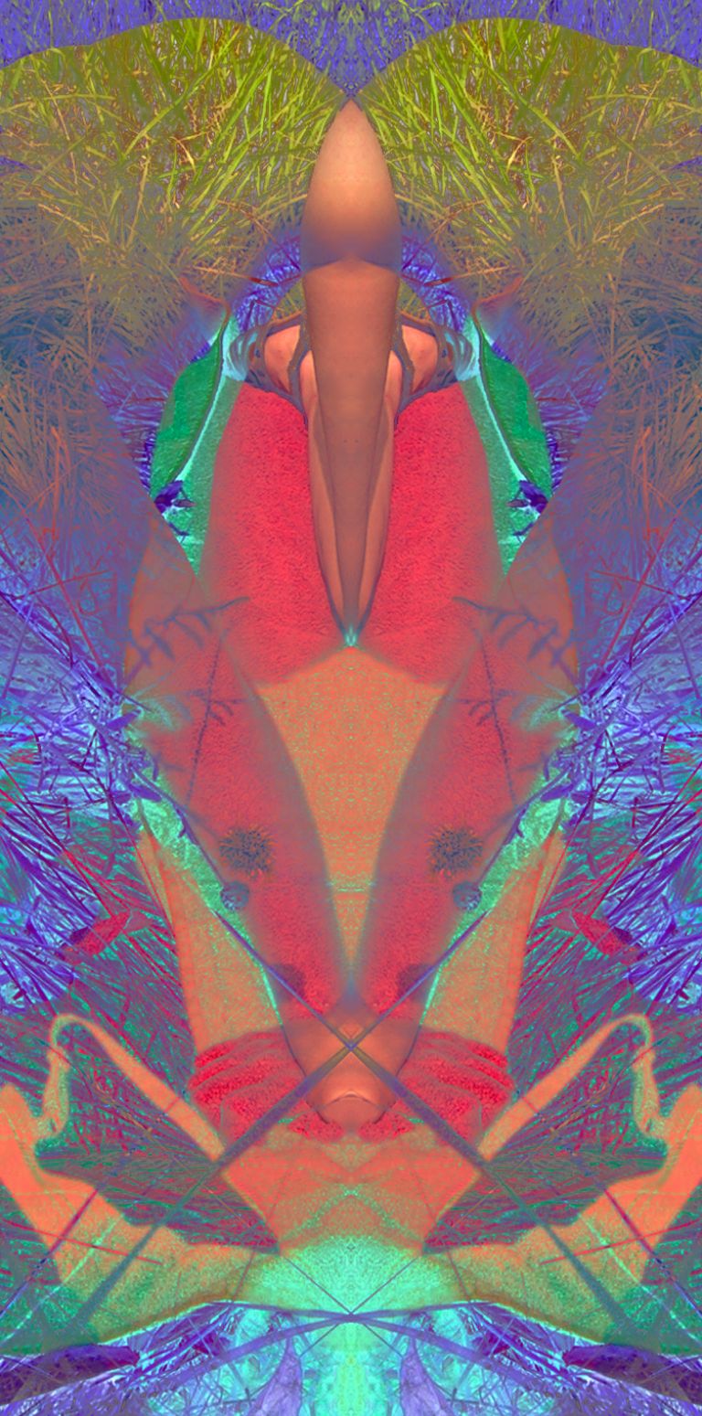 Montage Rorschach Créatures 11 Thot ©AbsurdePhoton